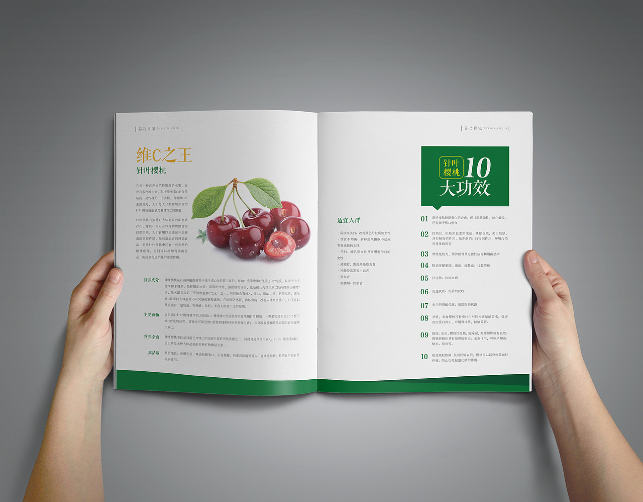 养乃世家画册设计