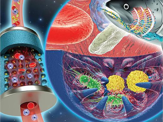 论文配图科研绘图sci杂志封面设计医学插画三维动画