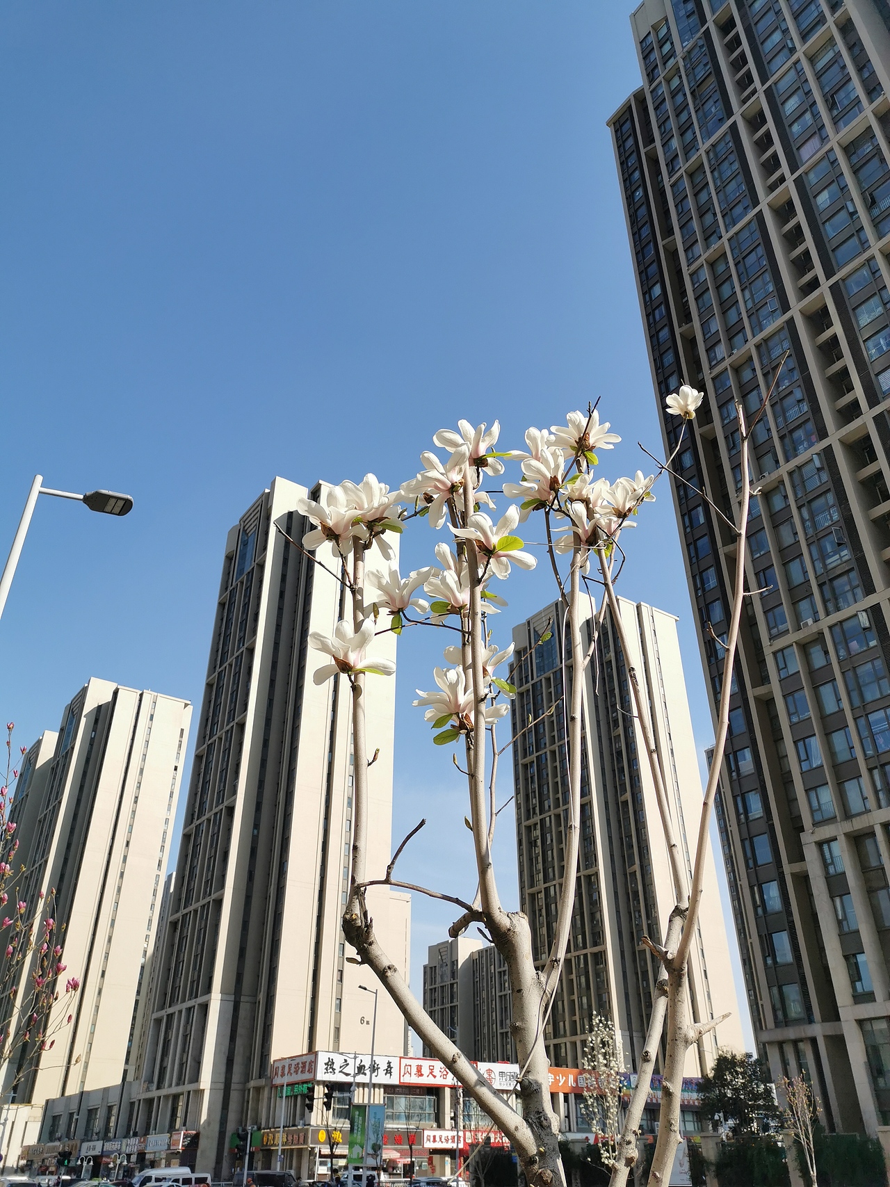 /春暖花开/