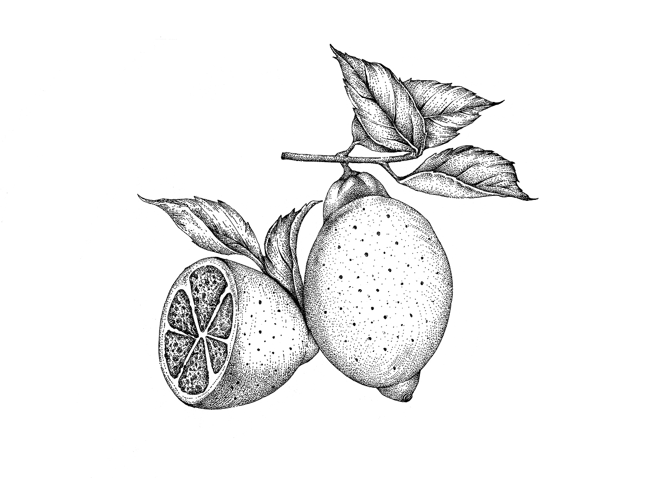 茶野品牌包装插画设计（图ZMjc3NDc5Njg4） - 商业插画 - 站酷设计师张贇ILLUSTRATION原创素材 - 站酷ZCOOL