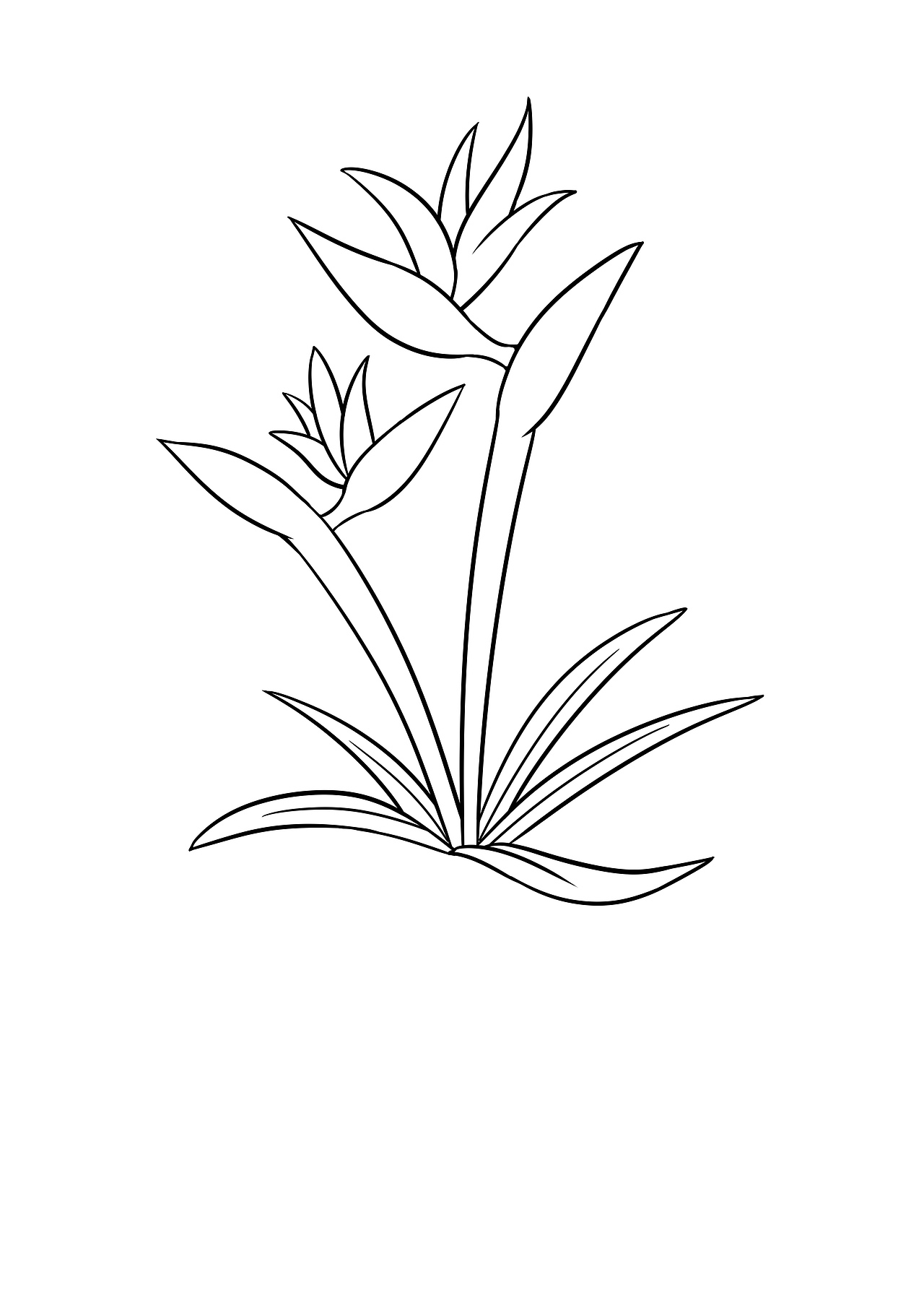 Q版动物、Q版植物（图ZMjExMzU3MTQ4） - 儿童插画 - 站酷设计师想吃肉的阿由原创素材 - 站酷ZCOOL