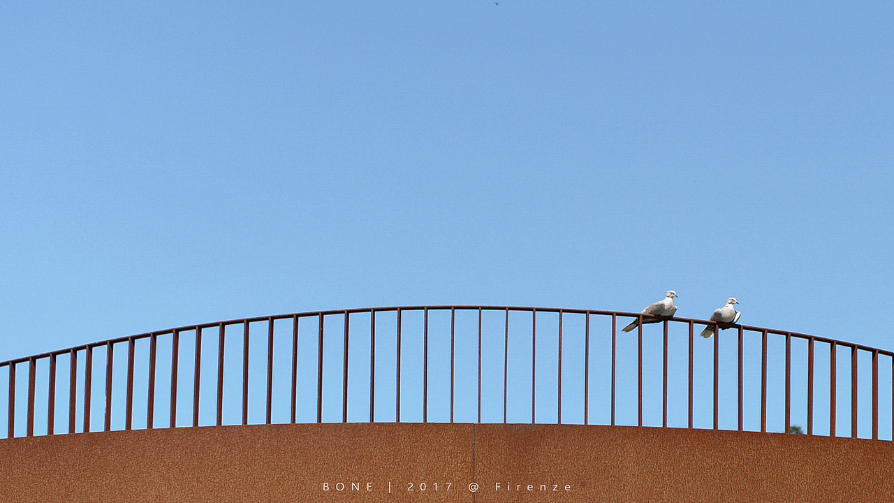 安提诺利家族酒庄（图ZMjE4OTQzNDI0） - 环境/建筑摄影 - 站酷设计师熹姐说原创素材 - 站酷ZCOOL