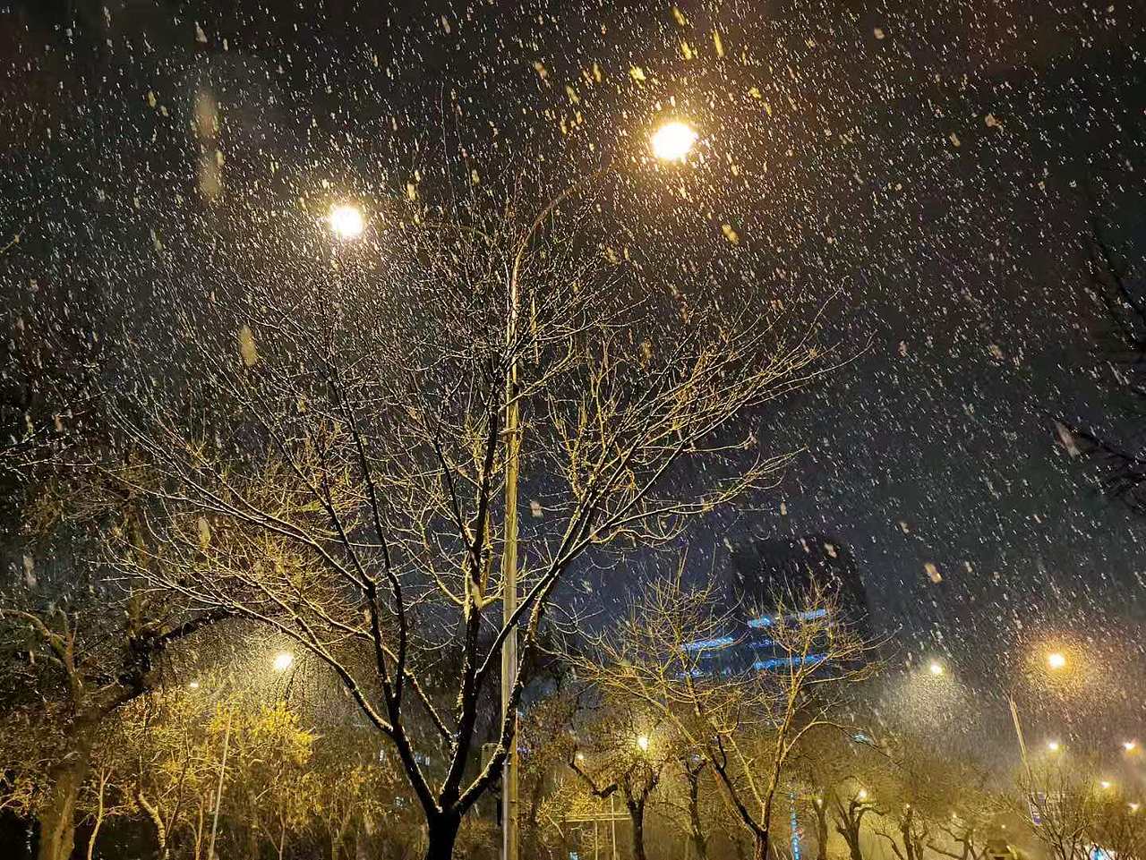 北京的初雪（图ZMTg3MzYzMzE2） - 风光摄影 - 站酷设计师共赏繁华原创素材 - 站酷ZCOOL