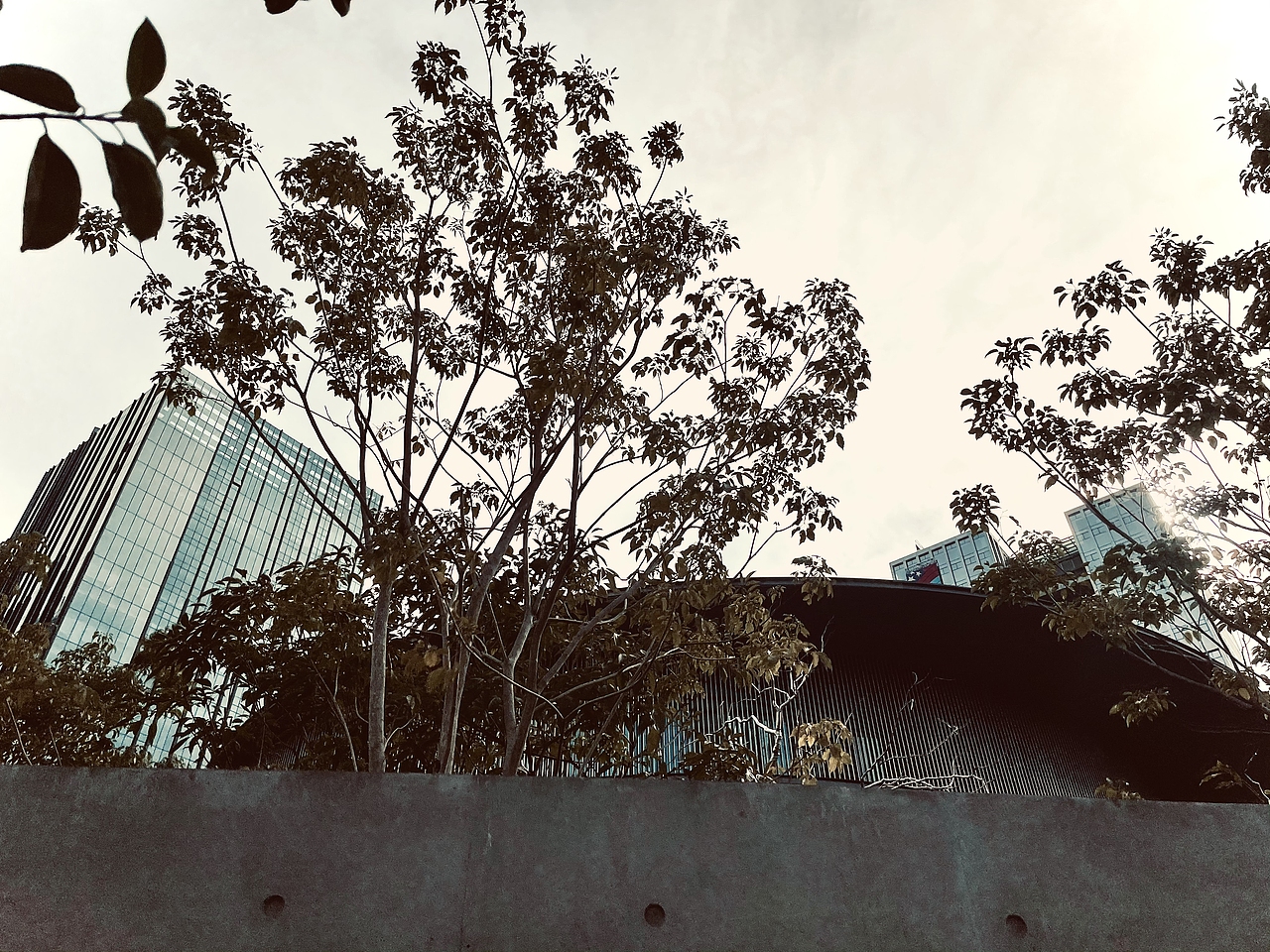 和美术馆&安藤忠雄