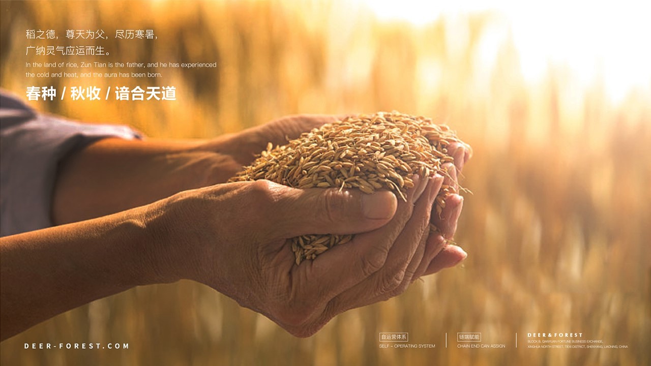 米业全案策划IP延展品牌设计#秉晟文化#