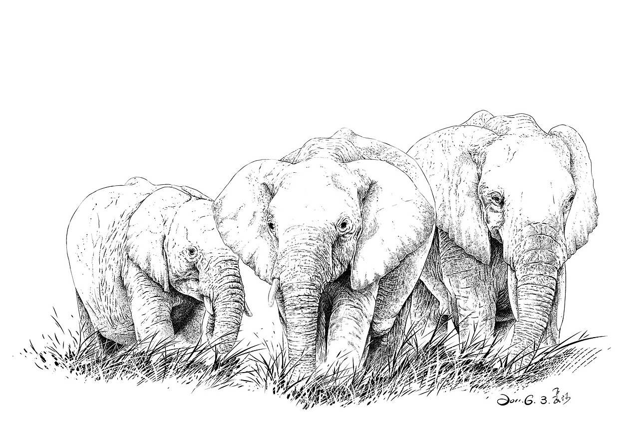 楚歌钢笔画-动物系列（图ZMTIxNDI5NTI=） - 艺术插画 - 站酷设计师楚歌76原创素材 - 站酷ZCOOL
