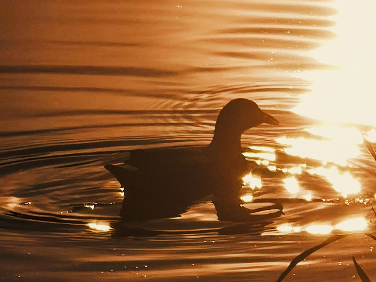 日出日落（图ZMzUyNDY1NDQw） - 风光摄影 - 站酷设计师园游会有缘原创素材 - 站酷ZCOOL