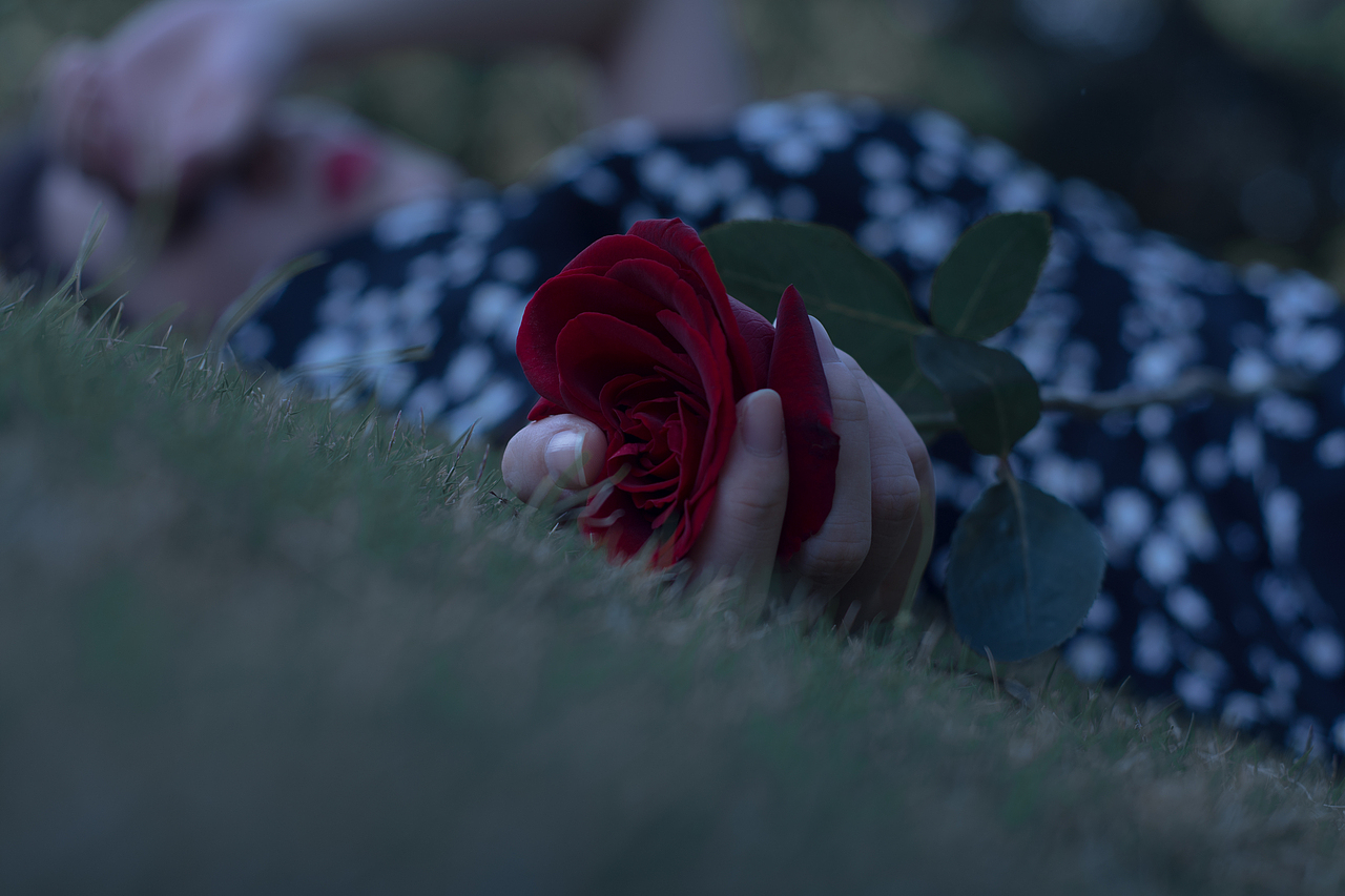 【我的朋友们】这世间本无留恋,却碰上了你