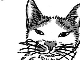 整理/簡筆畫（2019.1-2）