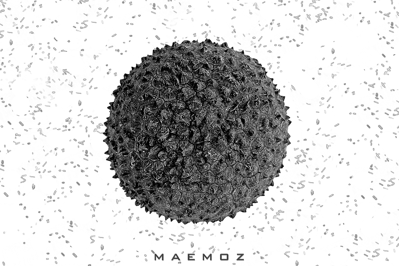 荔枝的三种形态（图ZMTE4MTA2MTI0） - 产品摄影 - 站酷设计师maemoz原创素材 - 站酷ZCOOL