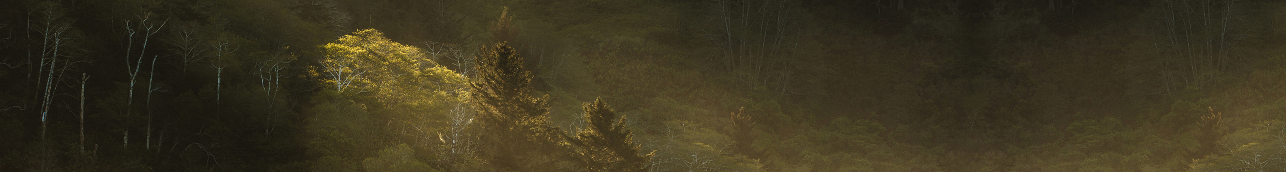 戌谷文创SEEGOOD的个人主页（封面预览） - 主页封面设置 - 站酷设计师戌谷文创SEEGOOD原创素材 - 站酷ZCOOL