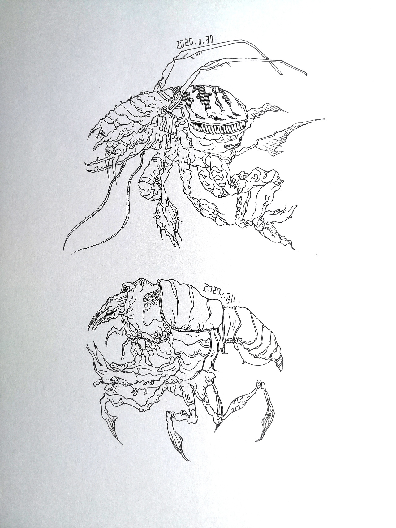 临摹练习总结（图ZMjE3MTA0Njk2） - 绘画 - 站酷设计师帆东絮原创素材 - 站酷ZCOOL