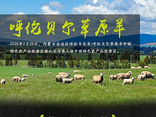 呼伦贝尔草原羊