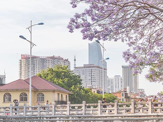 昆明一年一度的紫色盛會（個人主頁-ZNTIzOTAzNjQ=） - 人文/紀實攝影 - 站酷設計師米渣Rabbit原創(chuàng)素材 - 站酷ZCOOL