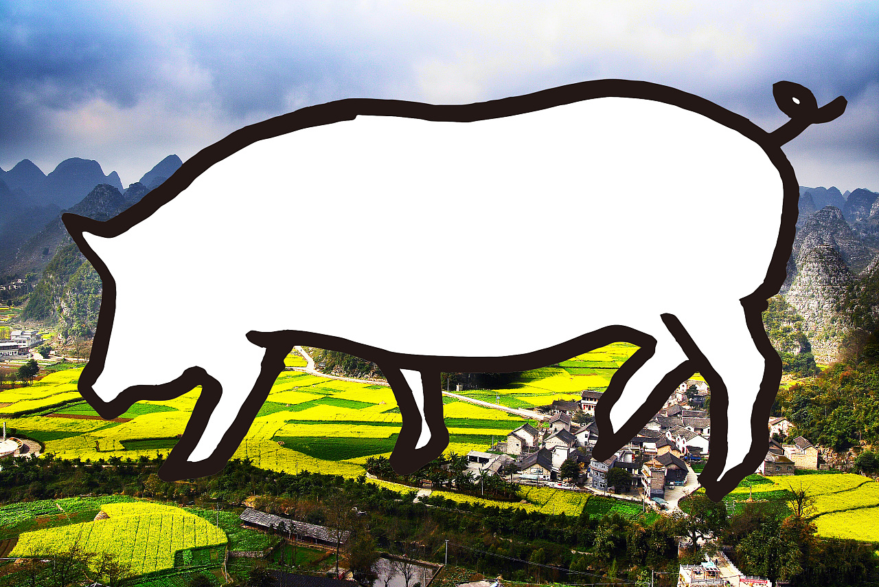 贵州丹寨县黔山猪猪肉产品品牌形象设计