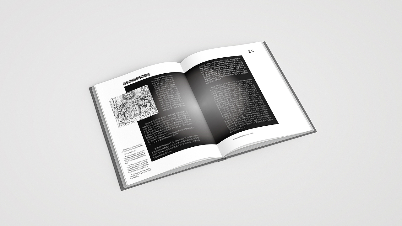 《查拉图斯特拉如是说》书籍装帧设计（图ZMjg3MjU4MDc2） - 书籍/画册 - 站酷设计师KLEINB原创素材 - 站酷ZCOOL