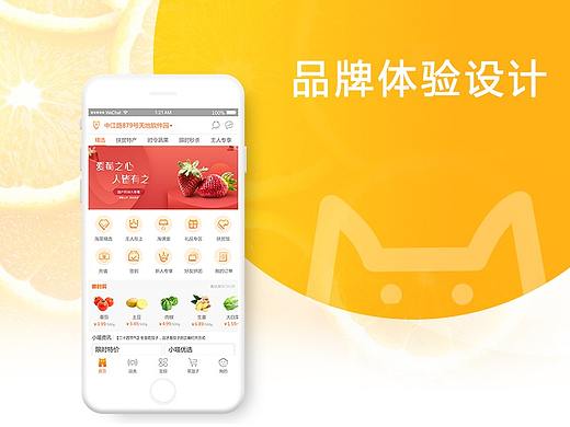 品牌体验设计·淘菜猫