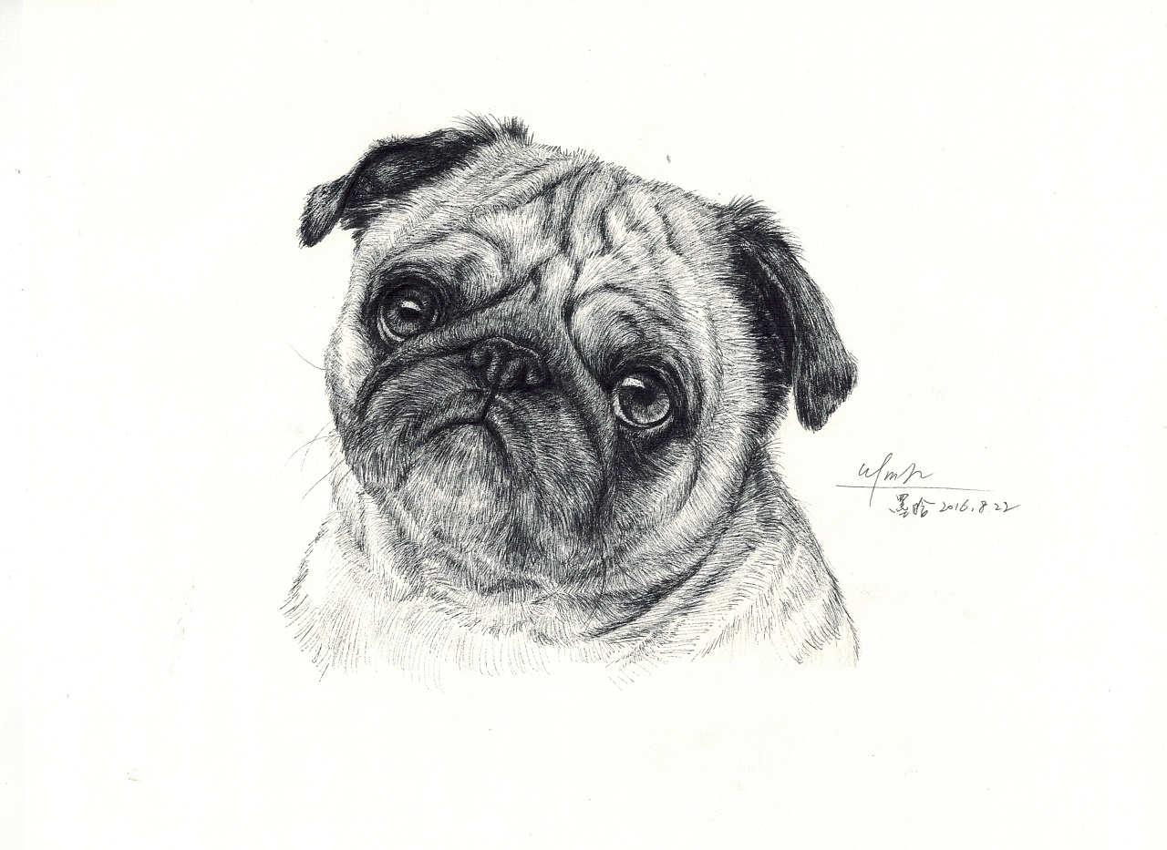 针管笔萌犬系列创作