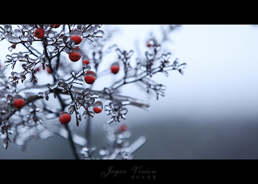 《那一场风花雪月的事》