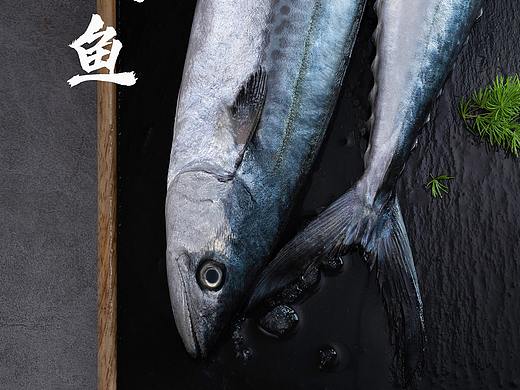 生鲜海产品鲅鱼 \ 银鲳鱼 \ 生海鲜海产品摄影 \水产品