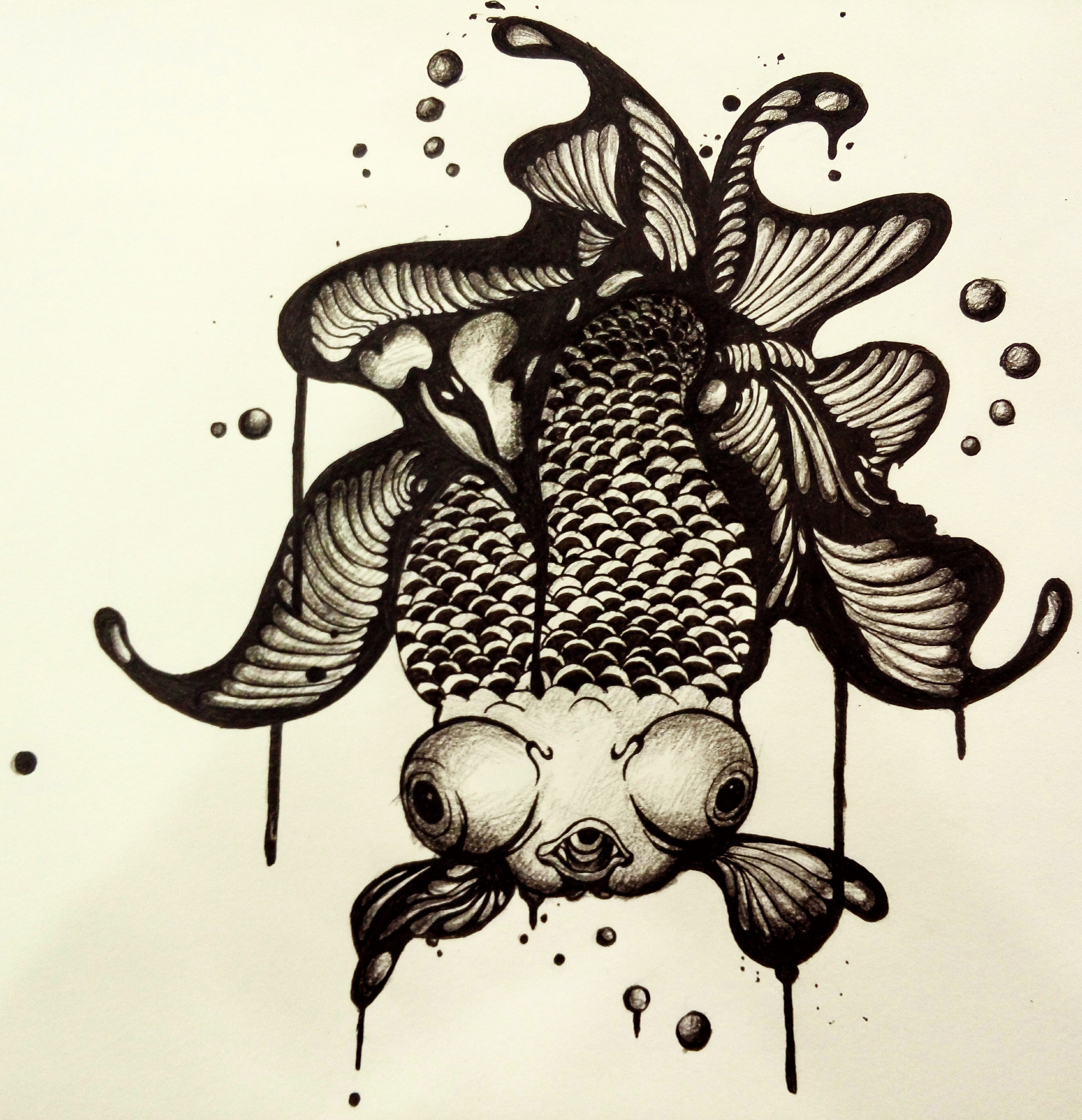 大眼黑鱼|插画|插画习作|哎呦矮油 - 原创作品 - 站酷 (zcool)