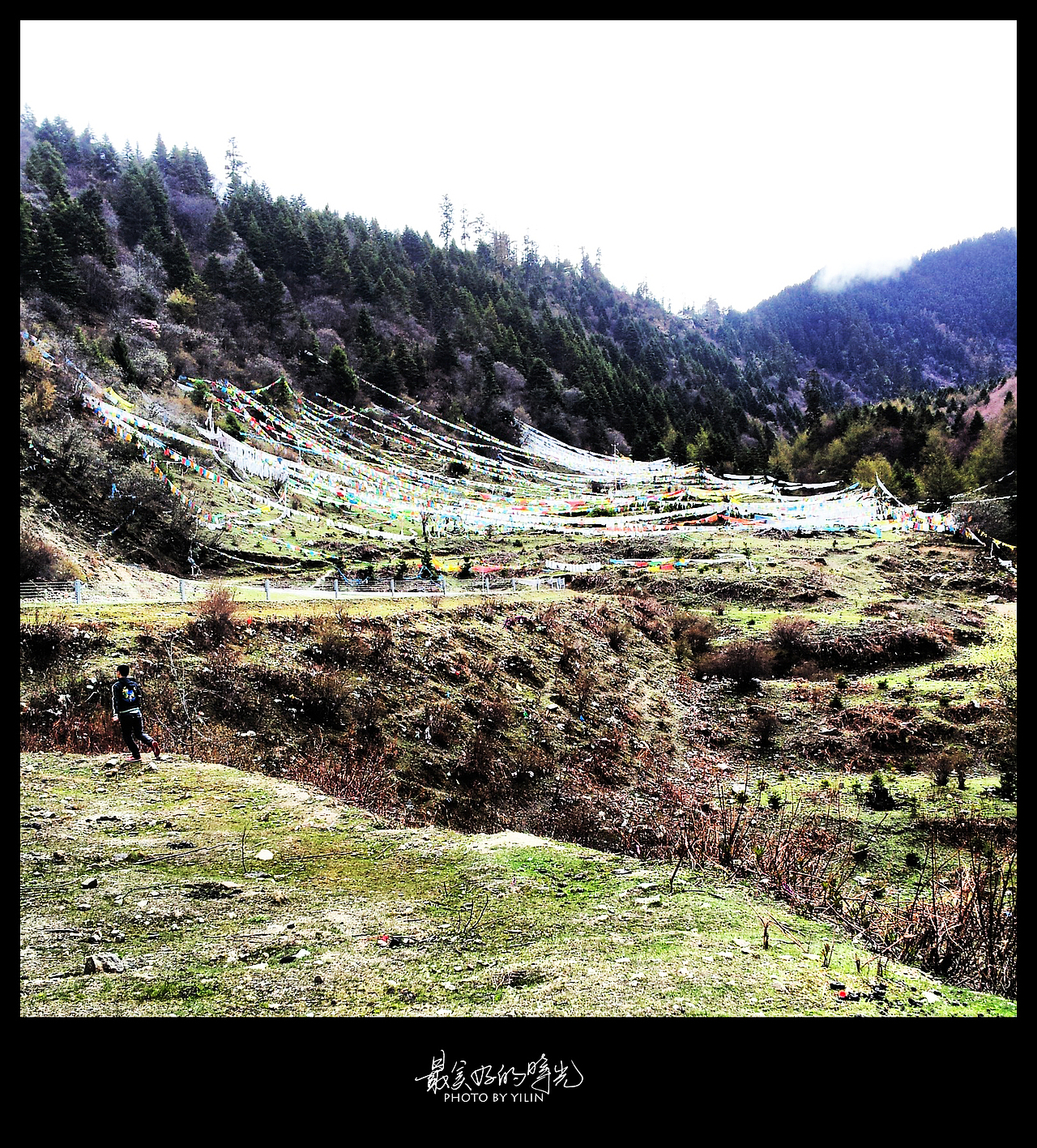 途中休息的地方，同行的炮哥非要下去采杜鹃花，其实我是很鄙视这种行为的……