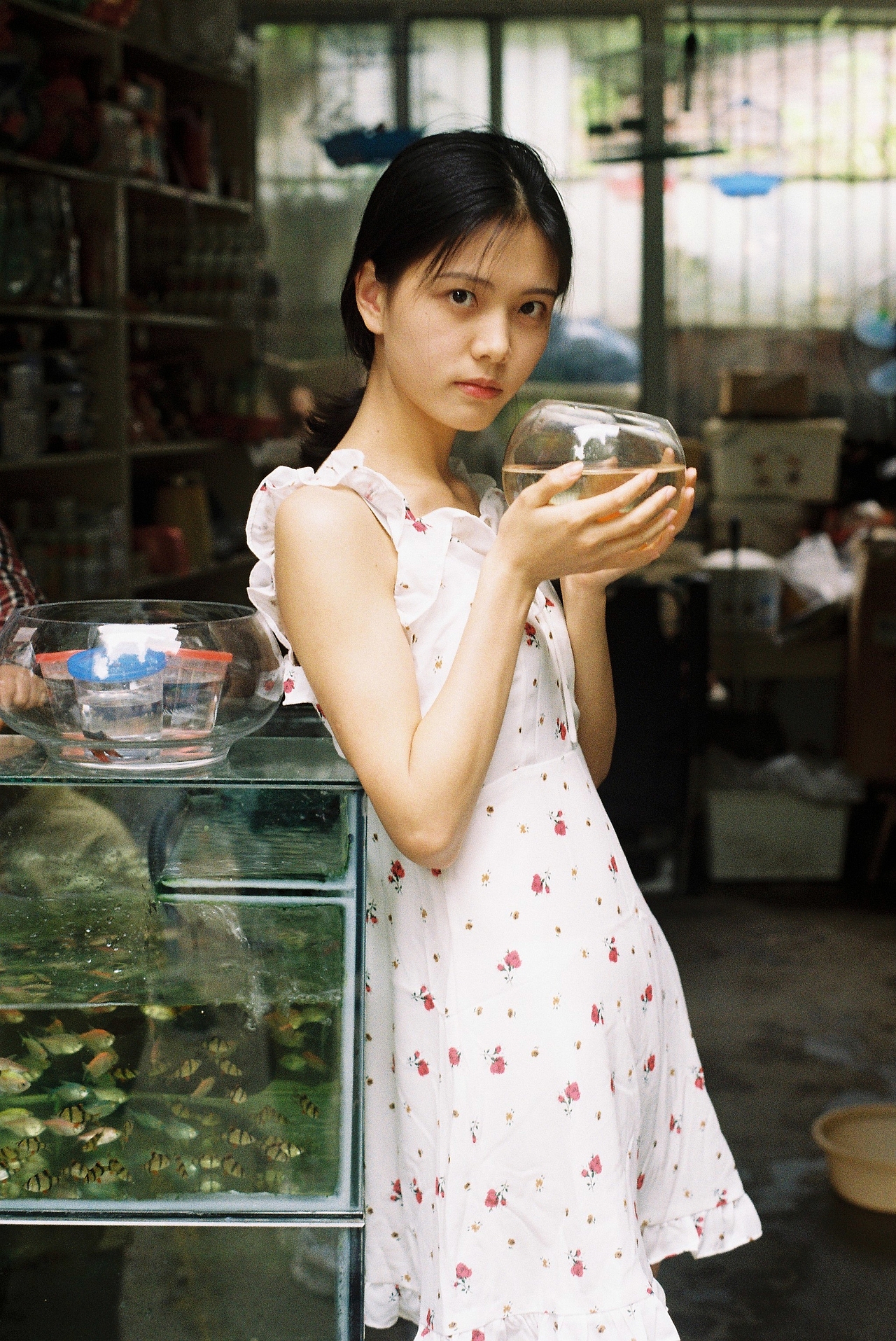 金鱼姬 | 胶片版