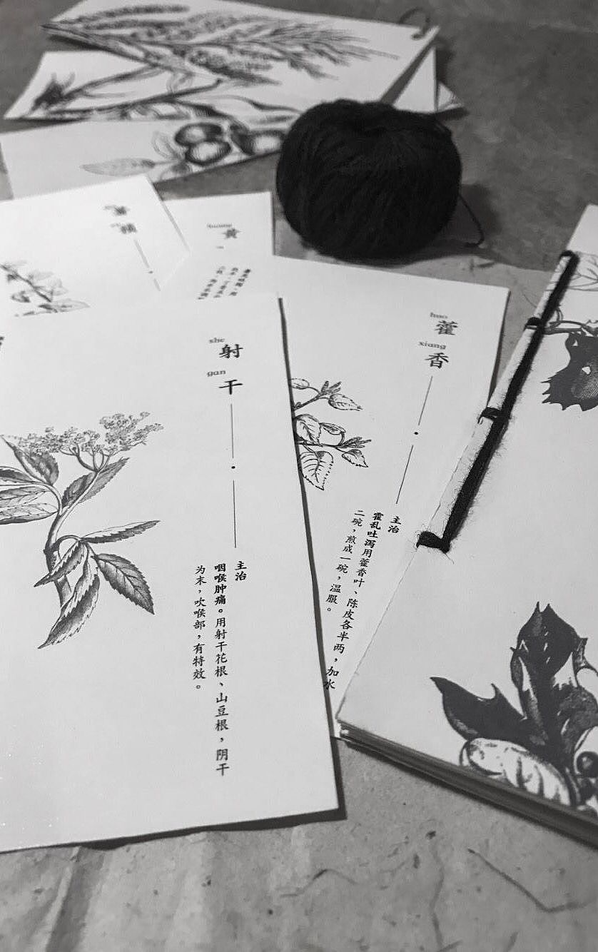 本草物语  |  书籍设计作业