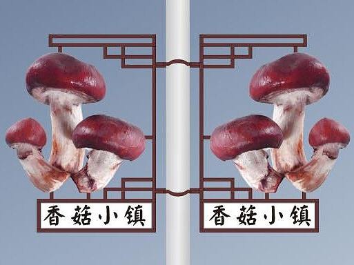 路灯杆灯箱装饰香菇小镇双龙戏珠路灯灯箱