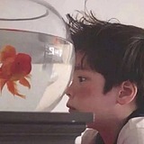 温柔胖冲鸭的头像