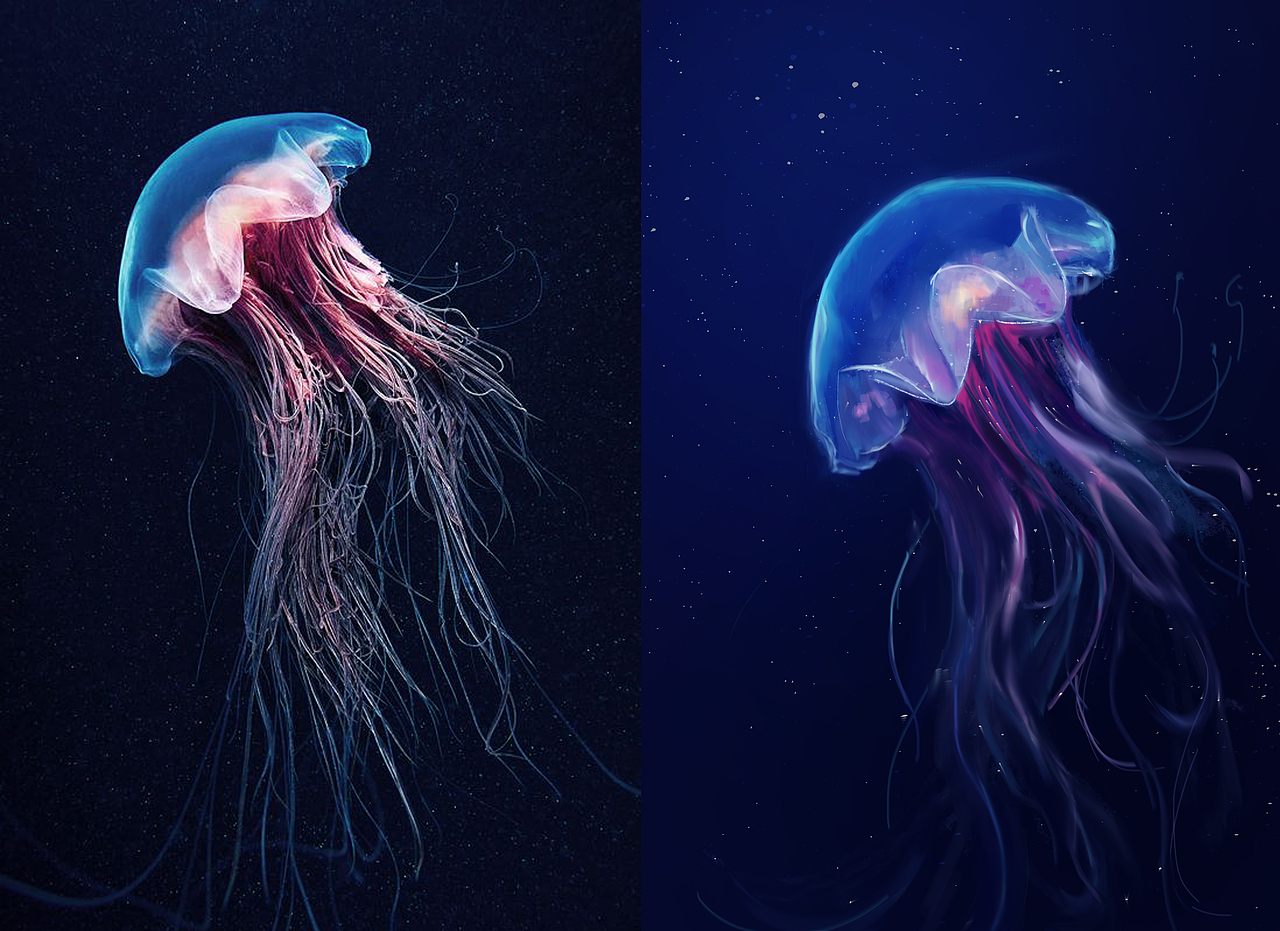 日涂合集（图ZMTU4NzA4OTY0） - 创作习作 - 站酷设计师Zoe_0v0原创素材 - 站酷ZCOOL