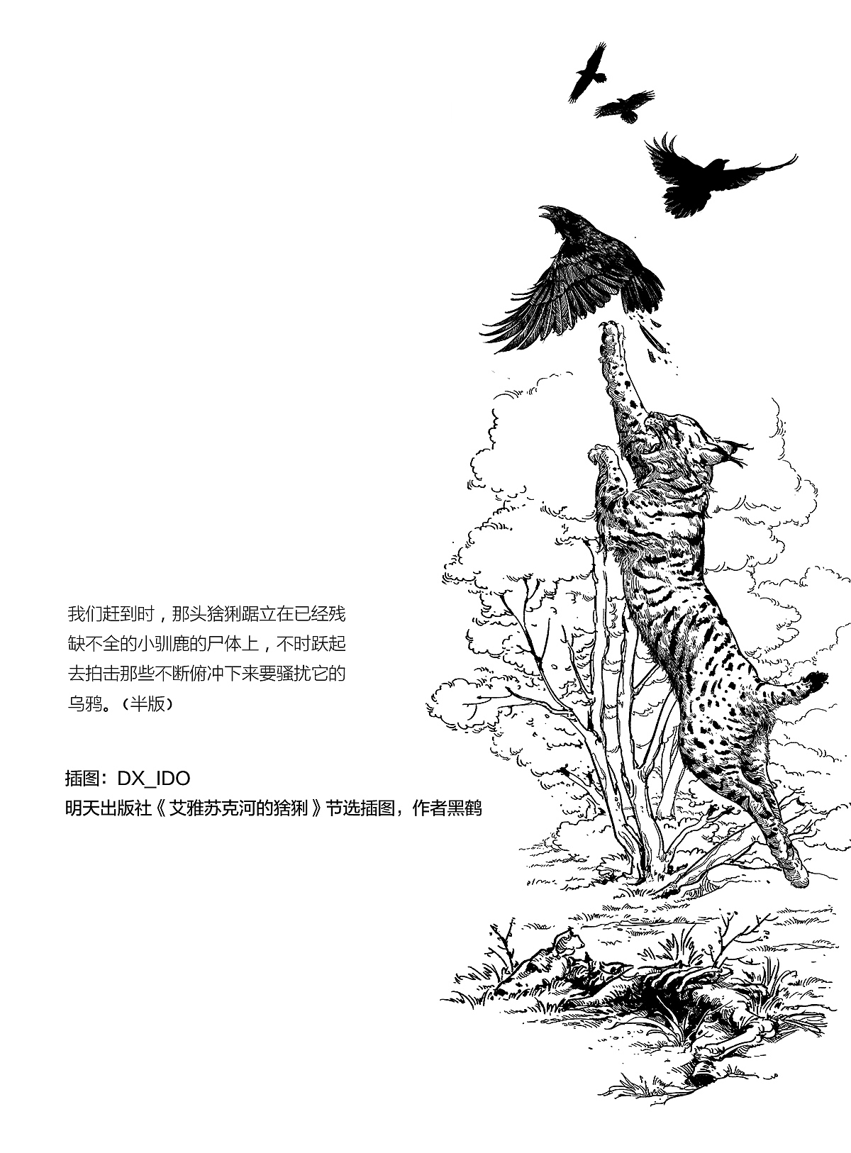 2189 一些插图整理（图ZMTI5NTg5MTky） - 绘画 - 站酷设计师DX_IDO原创素材 - 站酷ZCOOL