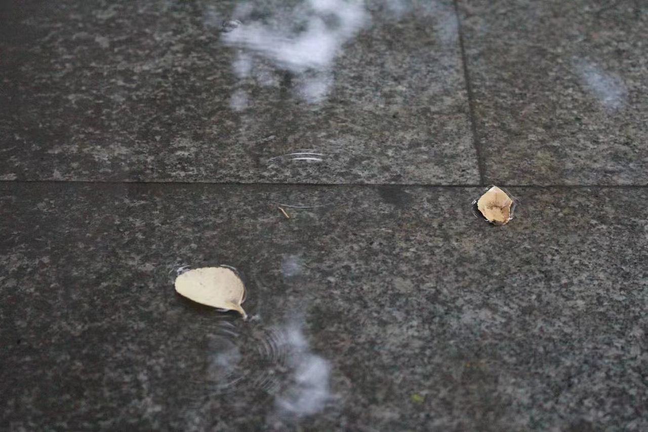 雨下的多巴胺