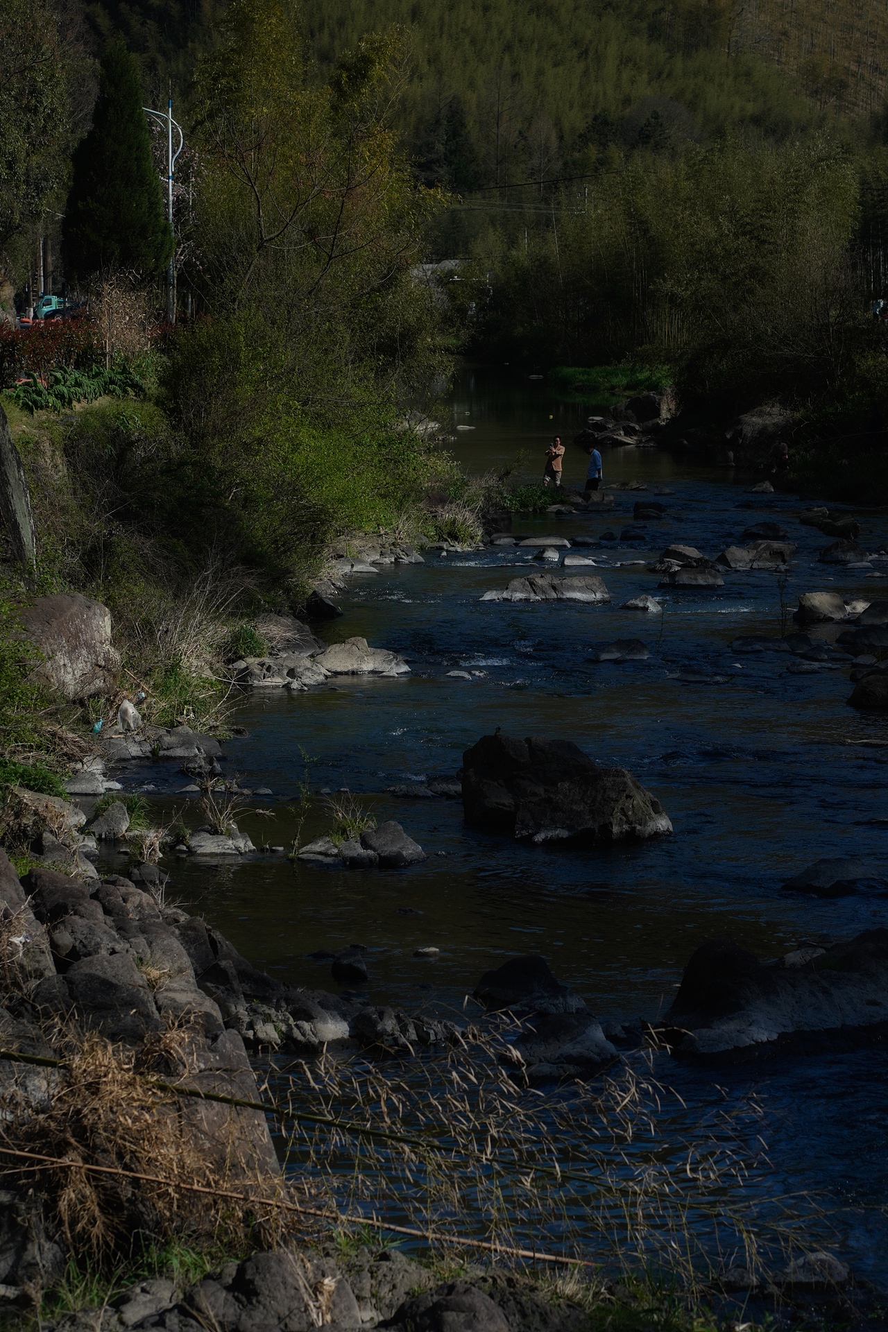 CHOICE游记摄影 I 莫干山（图ZMzY1ODU3OTc2） - 风光摄影 - 站酷设计师CHOICE窍思原创素材 - 站酷ZCOOL