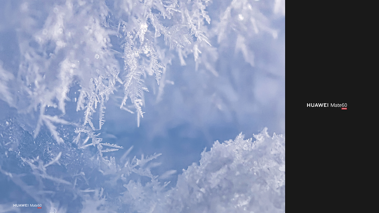 HUAWEI Mate60长焦微距拍摄