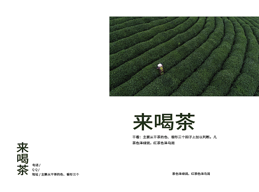 茶画册-来喝茶