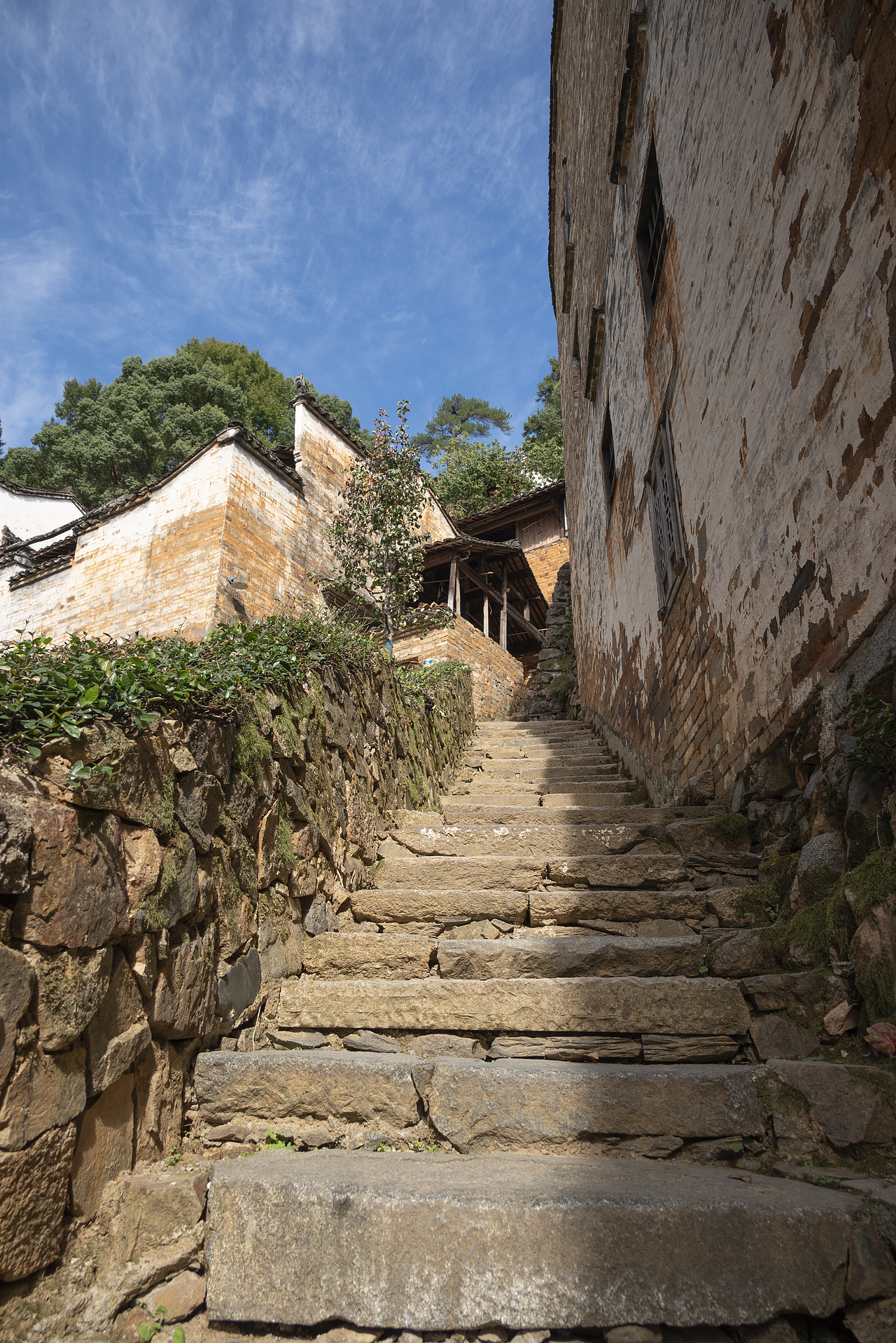 一个人的旅行-婺源篁岭（图ZMzIwNDU1OTMy） - 风光摄影 - 站酷设计师文艺田原创素材 - 站酷ZCOOL