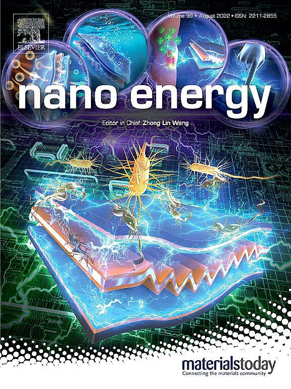 科研画图 学术期刊封面作品