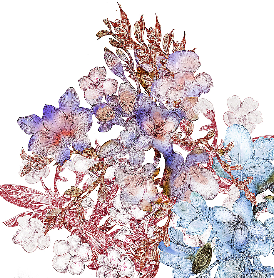 包装与插画(绿植、花卉)