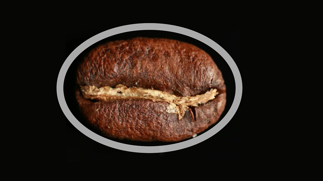 摇 咖啡品牌VI设计（图ZMzY3ODc1Mzg0） - 包装 - 站酷设计师橘鹿OranjDeer原创素材 - 站酷ZCOOL