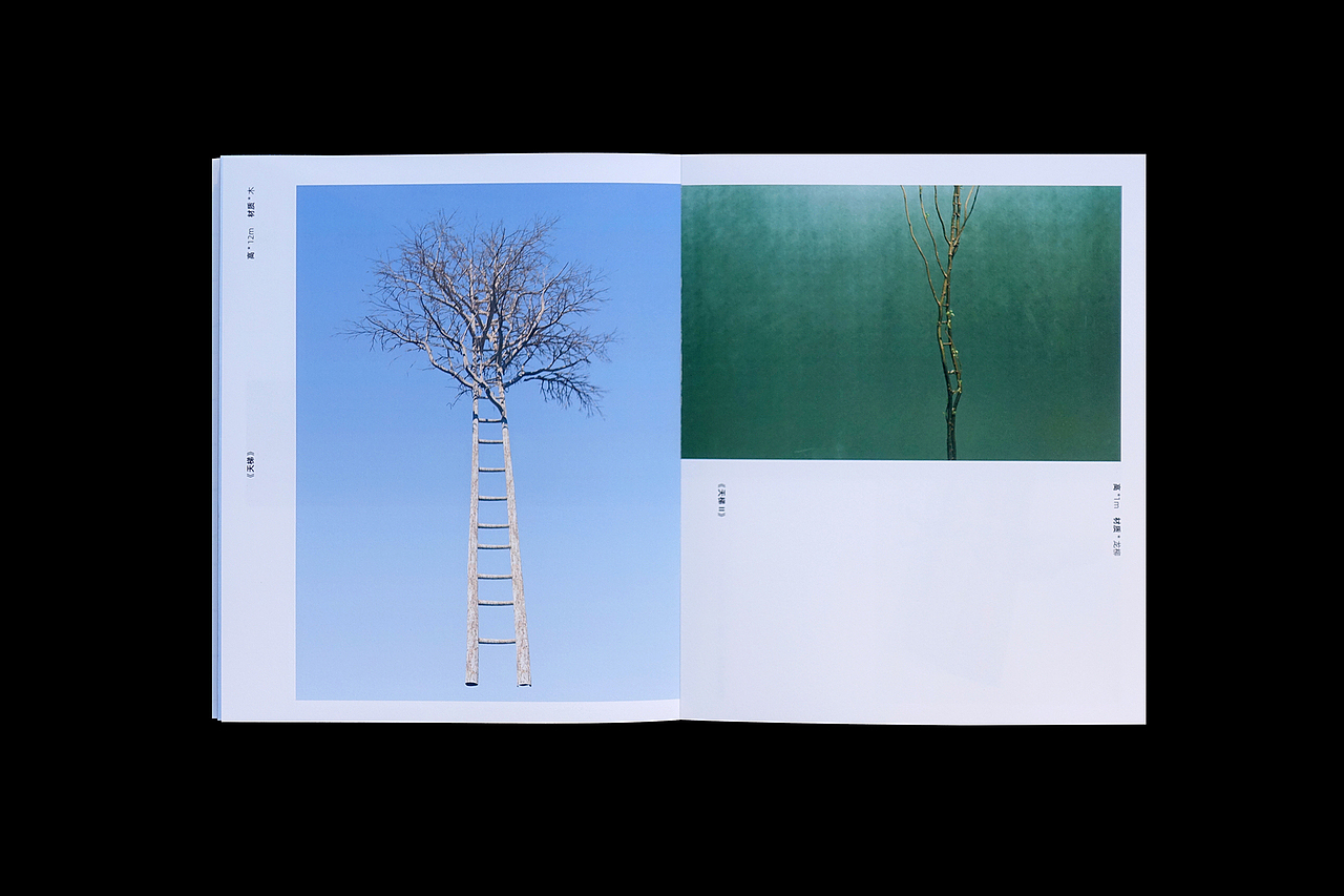 看不见的跷跷板——沈烈毅个展