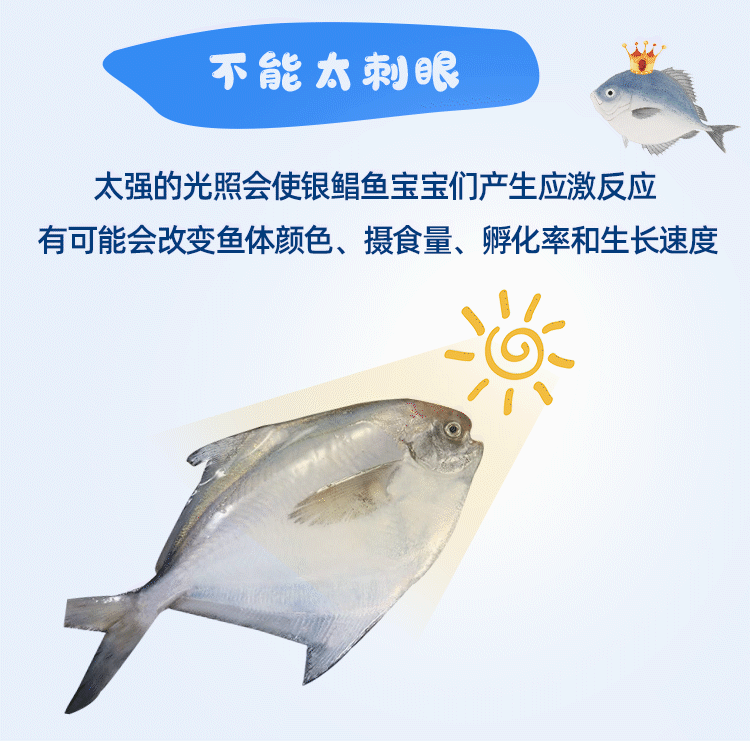 微信公众号长图