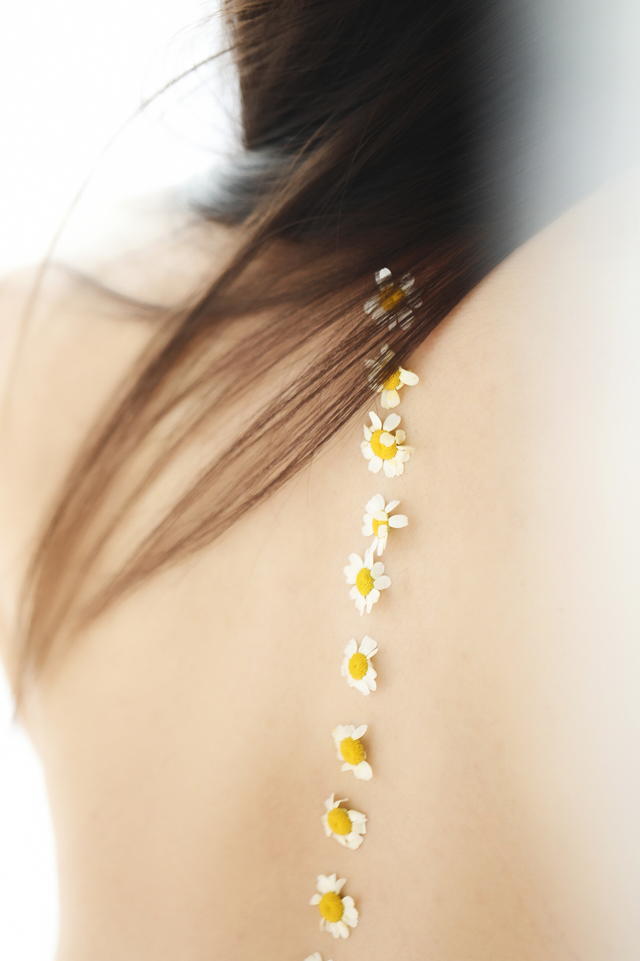 致敬自然 | 万物生长