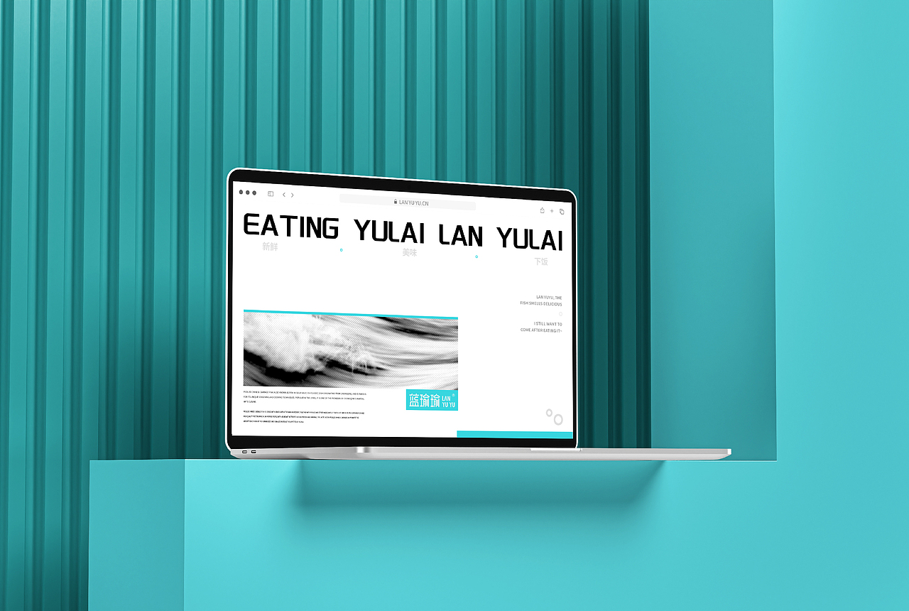 酸菜鱼餐饮品牌全案/LOGO/VI/包装设计