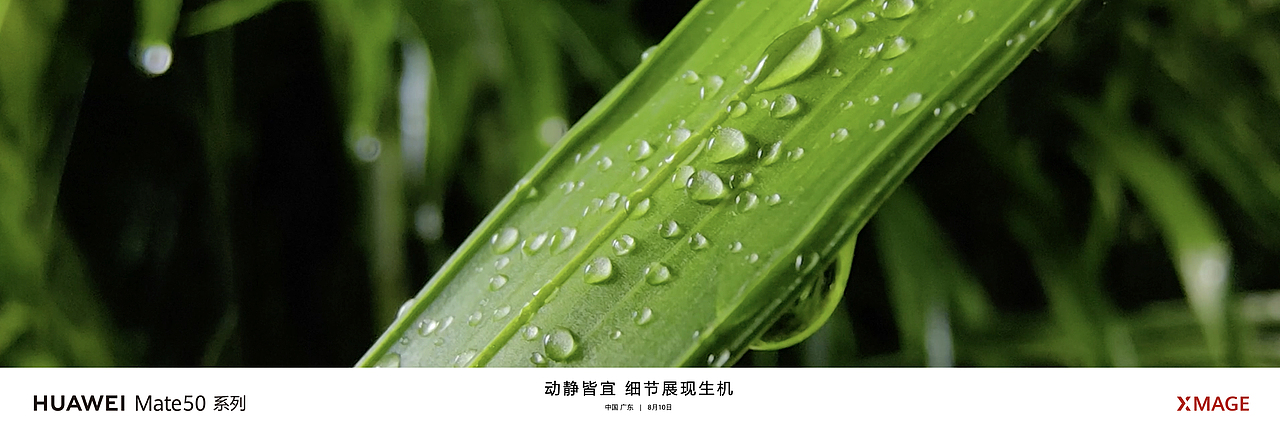华为 Mate 50 系列及全场景新品秋季发布会