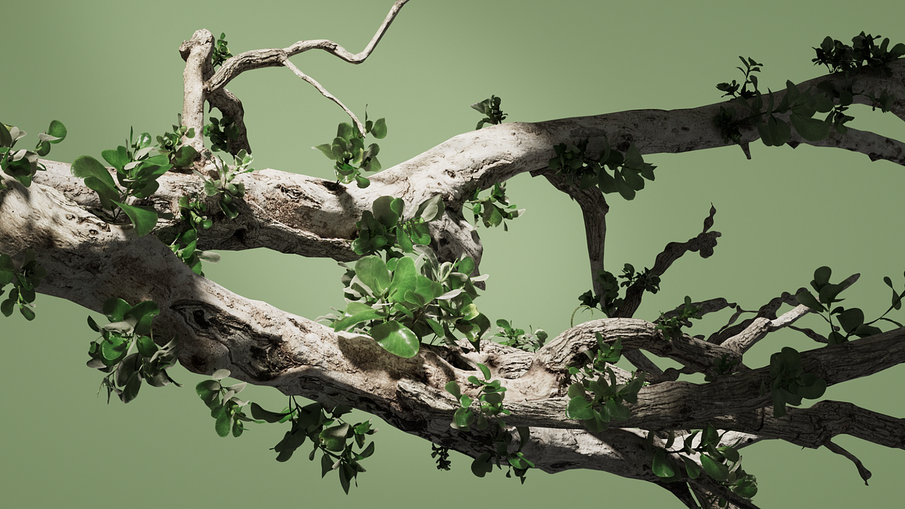 Elvis Presley 猫王音响