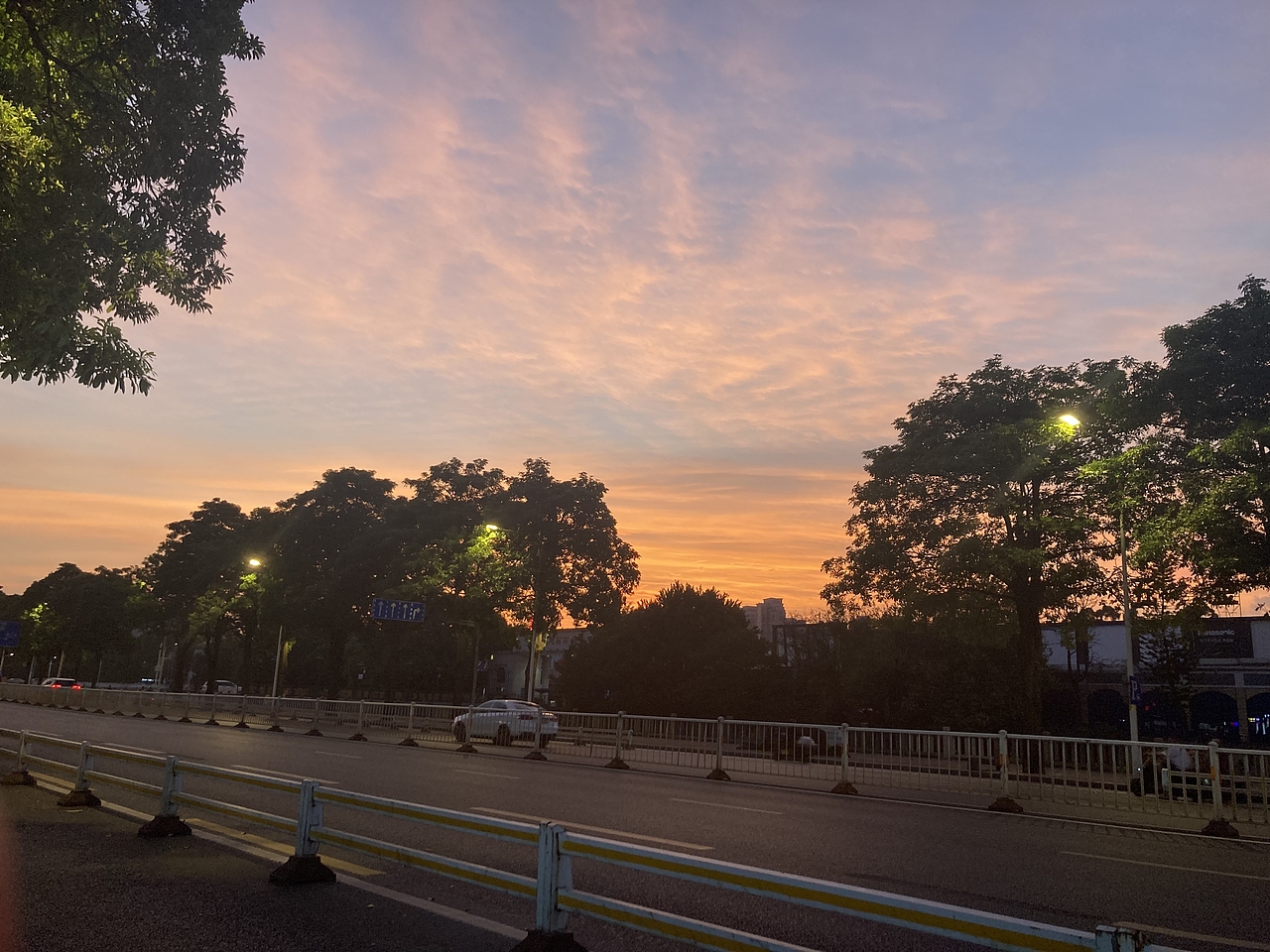 我在人间追逐日落