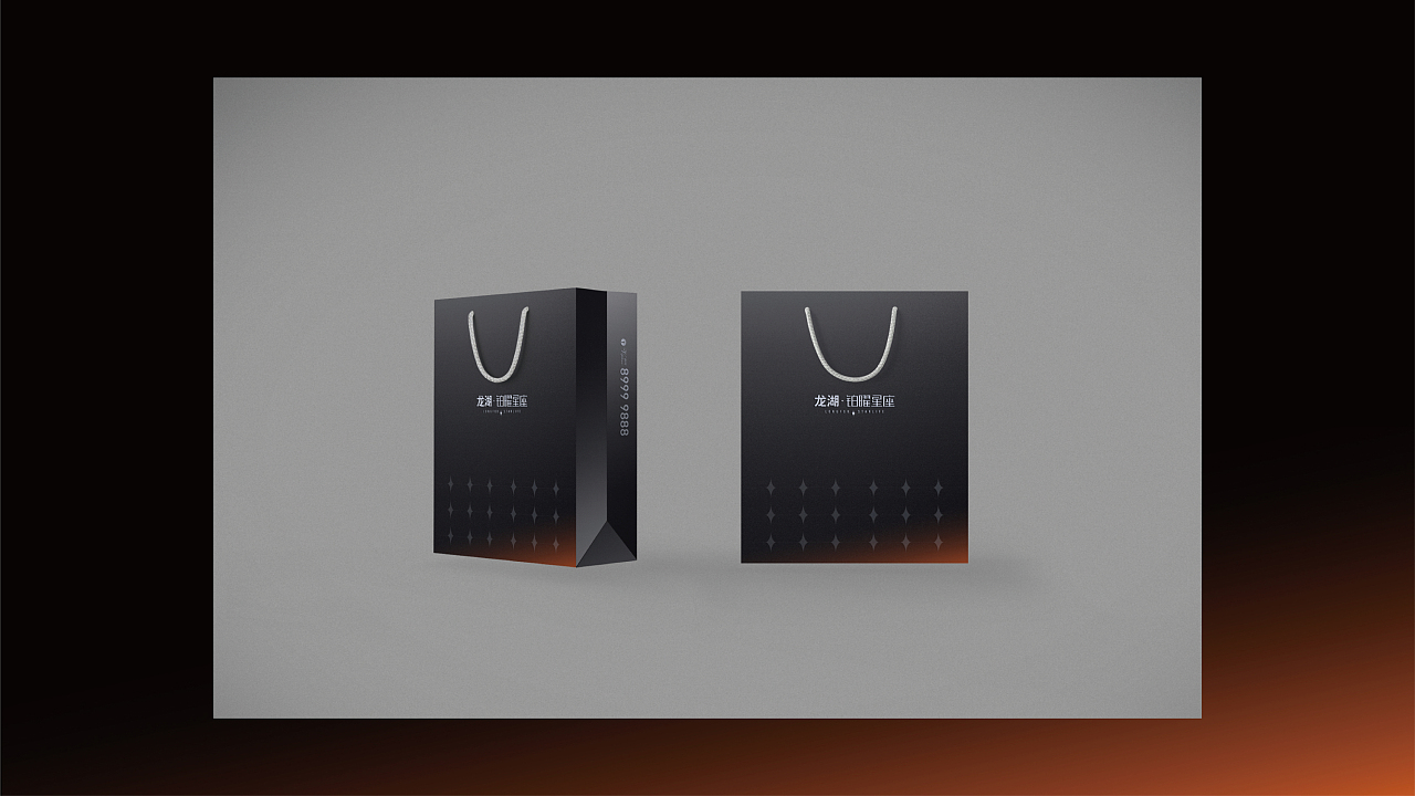 龙湖铂曜星座提报