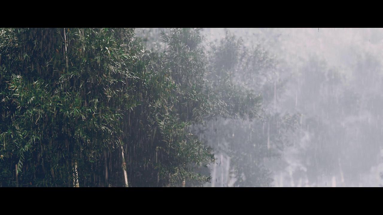 HOUDINI 雨打竹林