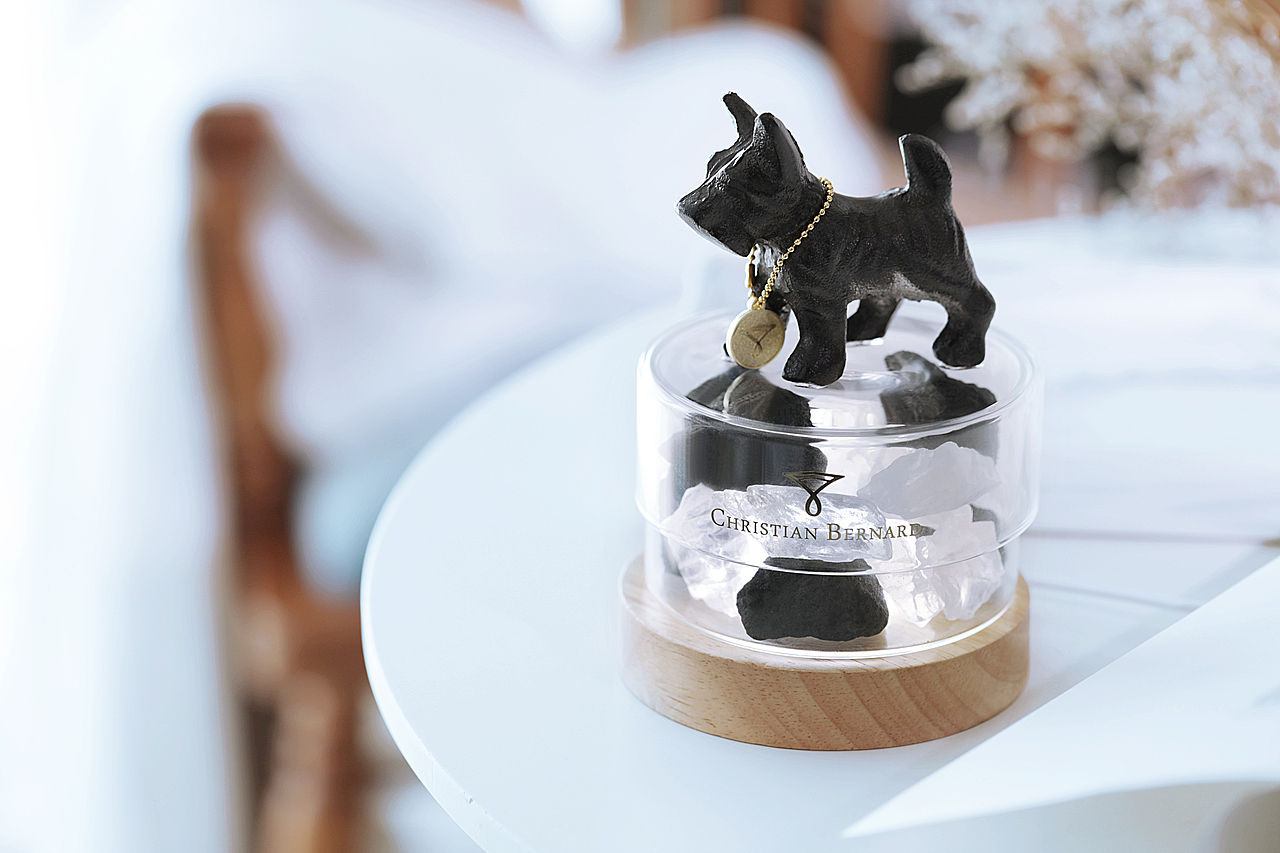 伊甸花园——波尔卡系列